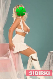 ������. �������� � ����������.