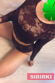 ����(�������������)