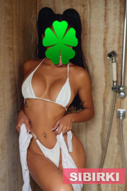 ������� 24 ����